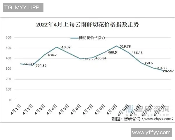 深度解析MVP现状及未来走势预测全面分析与展望